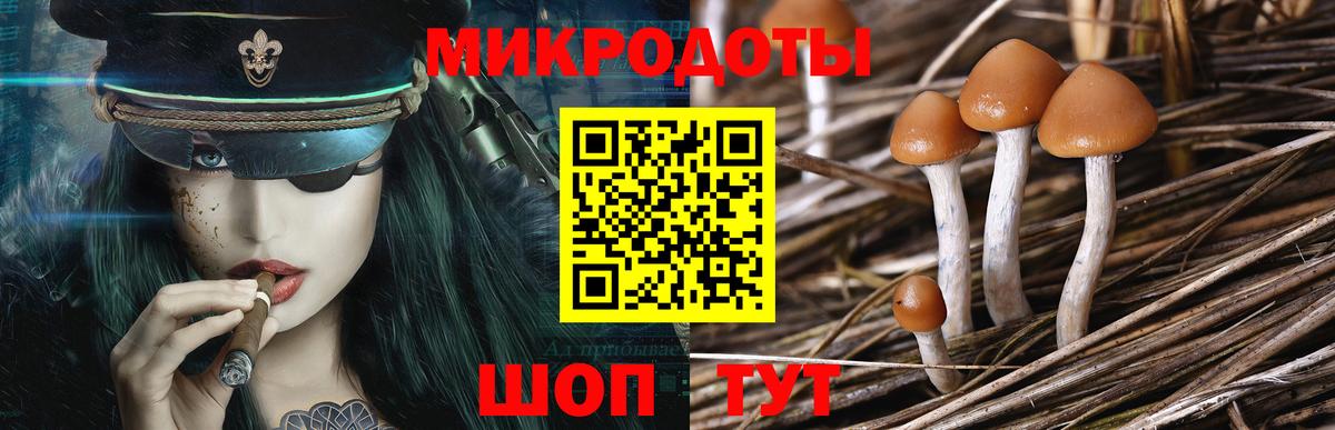 Псилоцибиновые грибы GOLDEN TEACHER Лениногорск